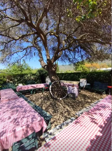 Quincho El Molle con mesones y parrilla