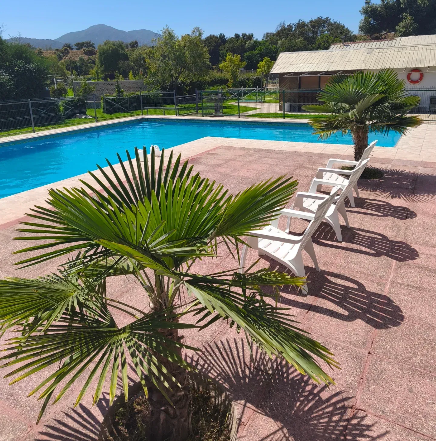 Sector de piscinas con áreas verdes al fondo