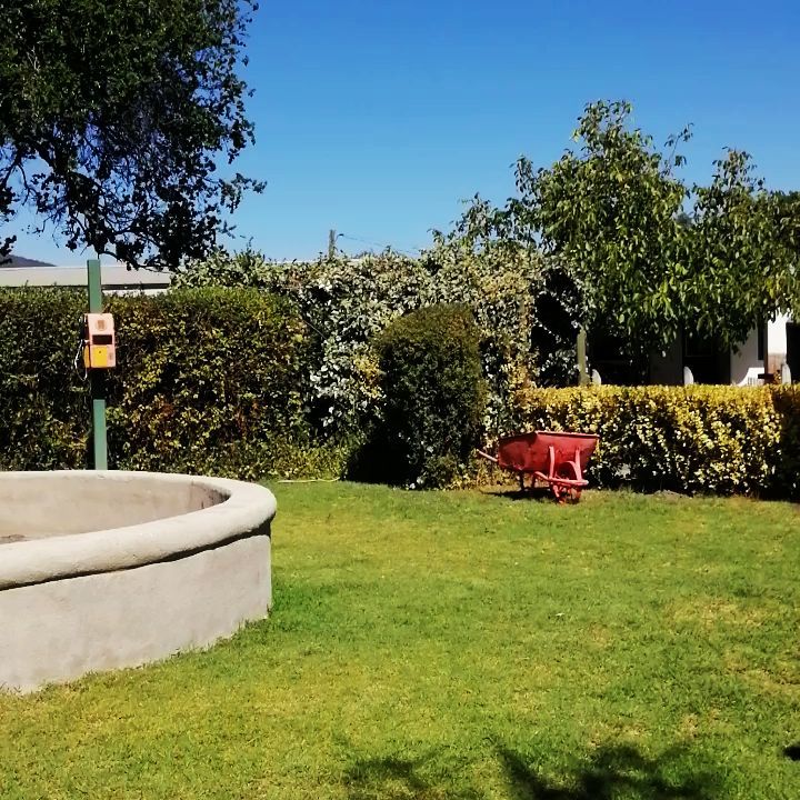 Área verde con pileta circular y carretilla roja