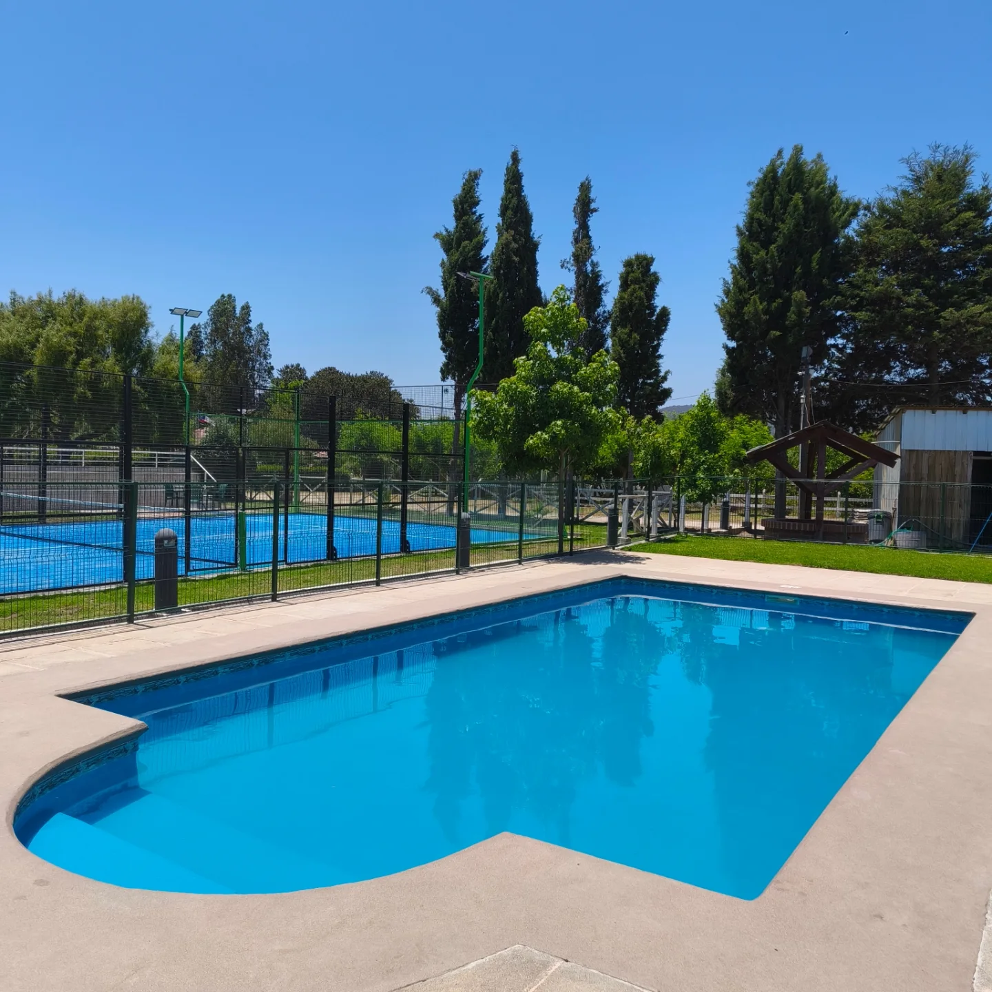Piscina de forma curva con cancha de pádel al fondo